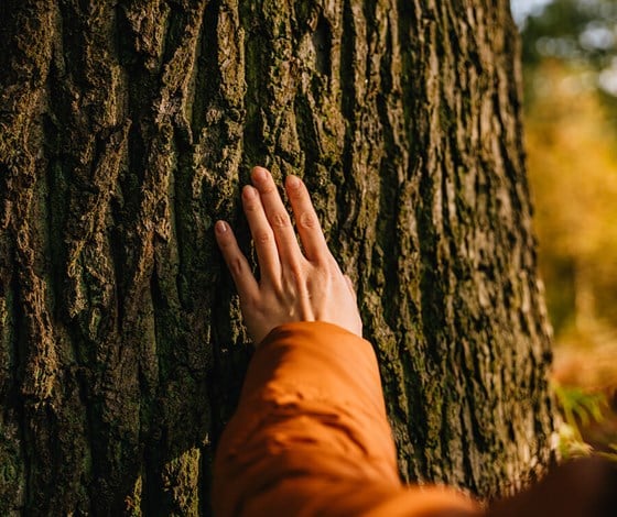 SITA’s Sustainability Strategy